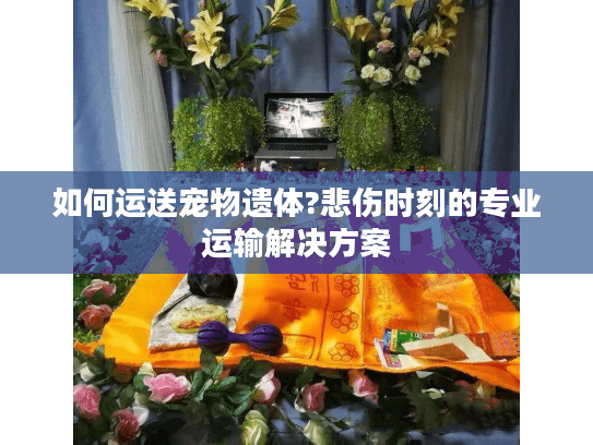 如何运送宠物遗体?悲伤时刻的专业运输解决方案