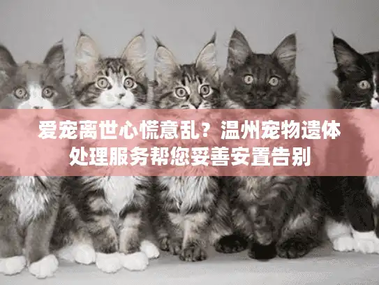 爱宠离世心慌意乱?温州宠物遗体处理服务帮您妥善安置告别 爱宠离世心慌意乱?温州宠物遗体处理服务帮您妥善安置告别