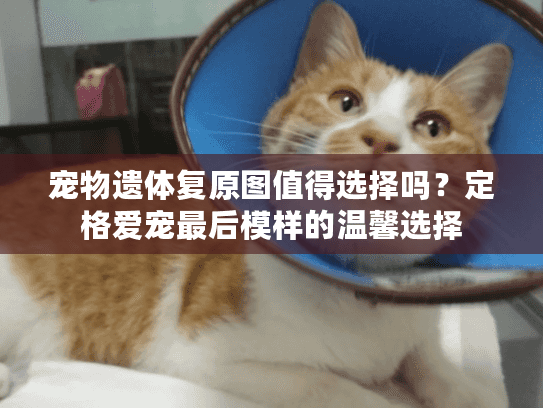 宠物遗体复原图值得选择吗？定格爱宠最后模样的温馨选择