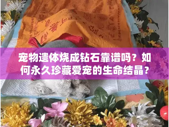 宠物遗体烧成钻石靠谱吗?如何永久珍藏爱宠的生命结晶? 宠物遗体烧成钻石靠谱吗?如何永久珍藏爱宠的生命结晶?