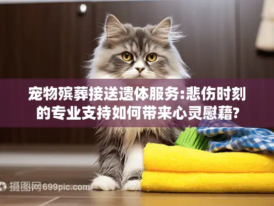 宠物殡葬接送遗体服务:悲伤时刻的专业支持如何带来心灵慰藉?