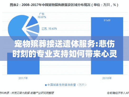 宠物殡葬接送遗体服务:悲伤时刻的专业支持如何带来心灵慰藉?