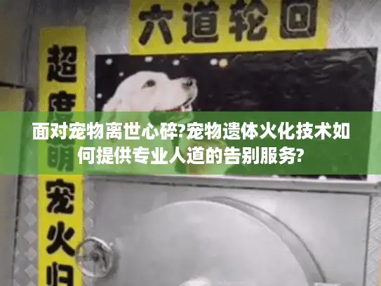 面对宠物离世心碎?宠物遗体火化技术如何提供专业人道的告别服务? 面对宠物离世心碎?宠物遗体火化技术如何提供专业人道的告别服务?