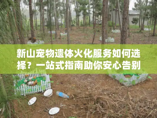 新山宠物遗体火化服务如何选择？一站式指南助你安心告别