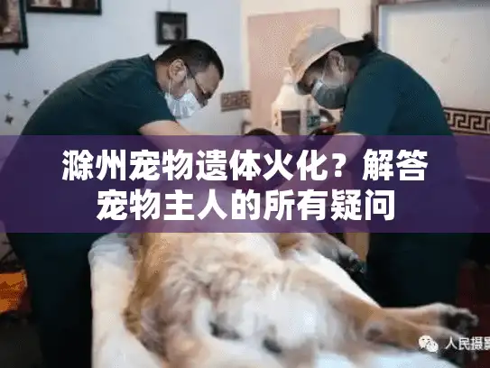 滁州宠物遗体火化？解答宠物主人的所有疑问
