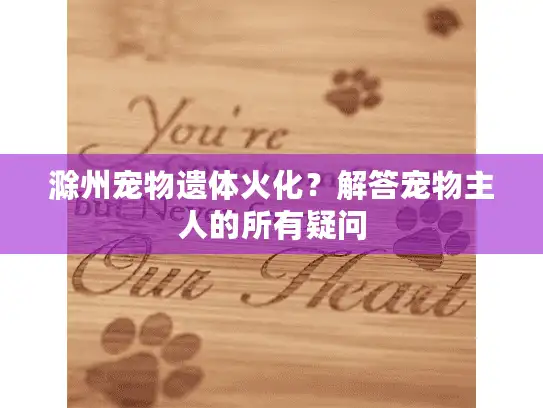 滁州宠物遗体火化？解答宠物主人的所有疑问