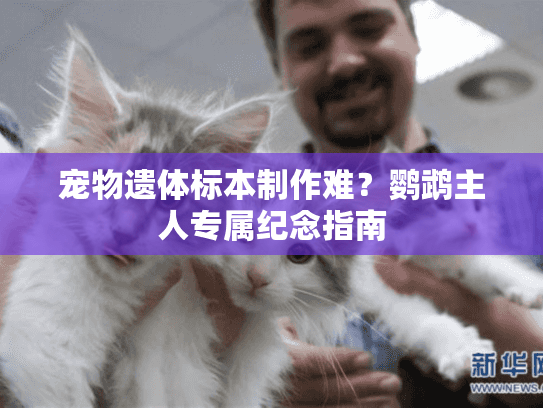 宠物遗体标本制作难？鹦鹉主人专属纪念指南