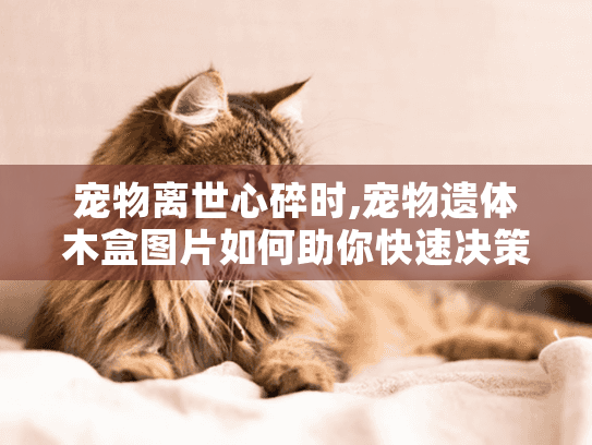 宠物离世心碎时,宠物遗体木盒图片如何助你快速决策理想选择? 宠物离世心碎时,宠物遗体木盒图片如何助你快速决策理想选择?