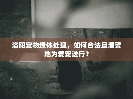 洛阳宠物遗体处理，如何合法且温馨地为爱宠送行？