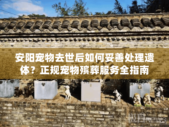 安阳宠物去世后如何妥善处理遗体?正规宠物殡葬服务全指南 安阳宠物去世后如何妥善处理遗体?正规宠物殡葬服务全指南