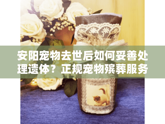 安阳宠物去世后如何妥善处理遗体?正规宠物殡葬服务全指南 安阳宠物去世后如何妥善处理遗体?正规宠物殡葬服务全指南
