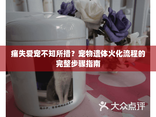 痛失爱宠不知所措？宠物遗体火化流程的完整步骤指南