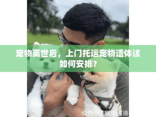 宠物离世后,上门托运宠物遗体该如何安排? 宠物离世后,上门托运宠物遗体该如何安排?
