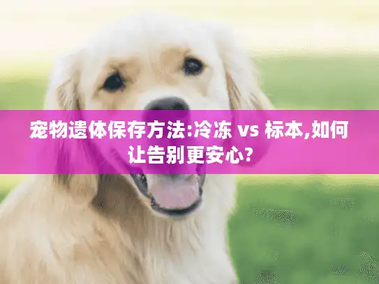宠物遗体保存方法:冷冻 vs 标本,如何让告别更安心?