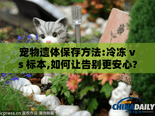 宠物遗体保存方法:冷冻 vs 标本,如何让告别更安心?