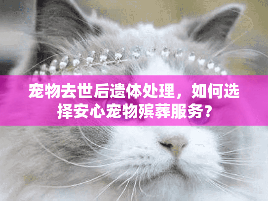 宠物去世后遗体处理，如何选择安心宠物殡葬服务？