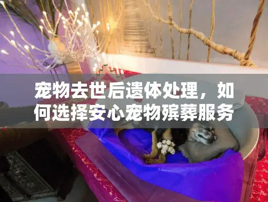 宠物去世后遗体处理，如何选择安心宠物殡葬服务？