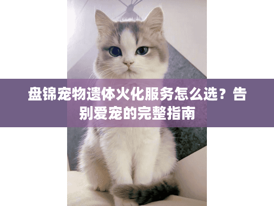 盘锦宠物遗体火化服务怎么选？告别爱宠的完整指南