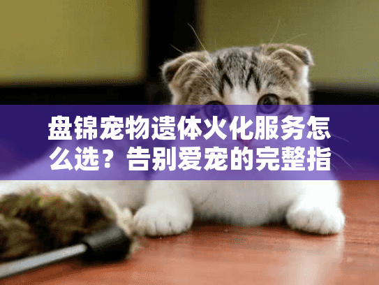 盘锦宠物遗体火化服务怎么选？告别爱宠的完整指南