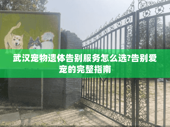 武汉宠物遗体告别服务怎么选?告别爱宠的完整指南 武汉宠物遗体告别服务怎么选?告别爱宠的完整指南