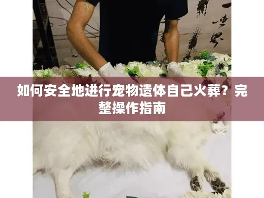 如何安全地进行宠物遗体自己火葬？完整操作指南