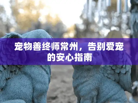 宠物善终师常州,告别爱宠的安心指南 宠物善终师常州,告别爱宠的安心指南