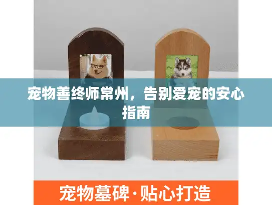宠物善终师常州,告别爱宠的安心指南 宠物善终师常州,告别爱宠的安心指南