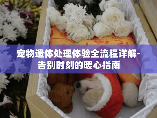 宠物遗体处理体验全流程详解-告别时刻的暖心指南 宠物遗体处理体验全流程详解-告别时刻的暖心指南