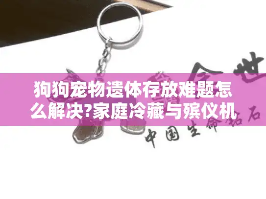 狗狗宠物遗体存放难题怎么解决?家庭冷藏与殡仪机构指南