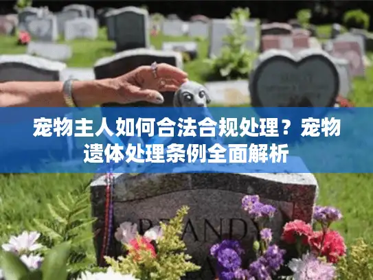 宠物主人如何合法合规处理？宠物遗体处理条例全面解析