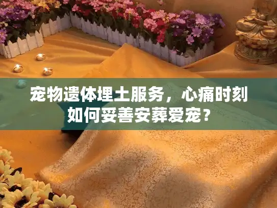 宠物遗体埋土服务,心痛时刻如何妥善安葬爱宠? 宠物遗体埋土服务,心痛时刻如何妥善安葬爱宠?