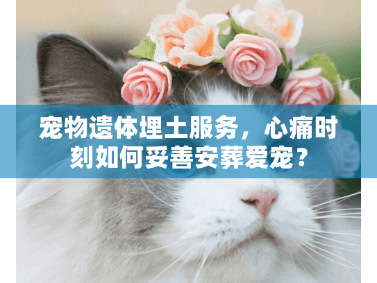 宠物遗体埋土服务,心痛时刻如何妥善安葬爱宠? 宠物遗体埋土服务,心痛时刻如何妥善安葬爱宠?
