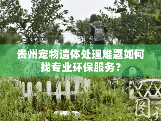 贵州宠物遗体处理难题如何找专业环保服务? 贵州宠物遗体处理难题如何找专业环保服务?