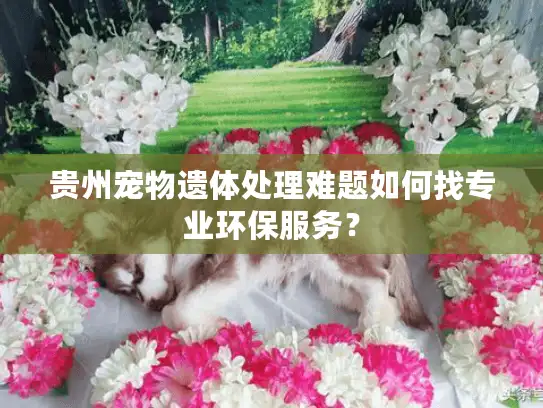 贵州宠物遗体处理难题如何找专业环保服务? 贵州宠物遗体处理难题如何找专业环保服务?