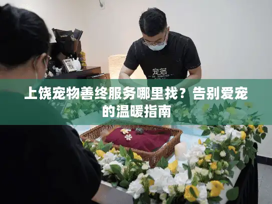 上饶宠物善终服务哪里找？告别爱宠的温暖指南