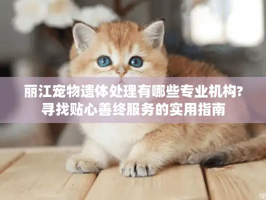 丽江宠物遗体处理有哪些专业机构?寻找贴心善终服务的实用指南