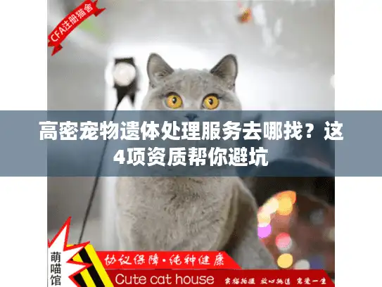 高密宠物遗体处理服务去哪找？这4项资质帮你避坑