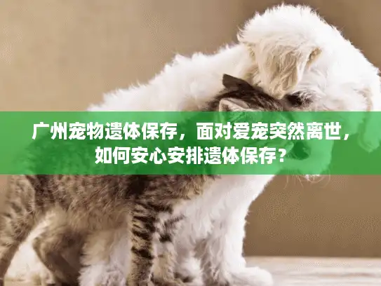 广州宠物遗体保存,面对爱宠突然离世,如何安心安排遗体保存? 广州宠物遗体保存,面对爱宠突然离世,如何安心安排遗体保存?