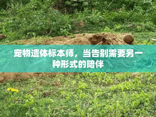 宠物遗体标本师,当告别需要另一种形式的陪伴 宠物遗体标本师,当告别需要另一种形式的陪伴