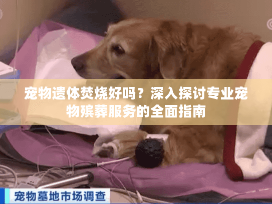 宠物遗体焚烧好吗?深入探讨专业宠物殡葬服务的全面指南 宠物遗体焚烧好吗?深入探讨专业宠物殡葬服务的全面指南