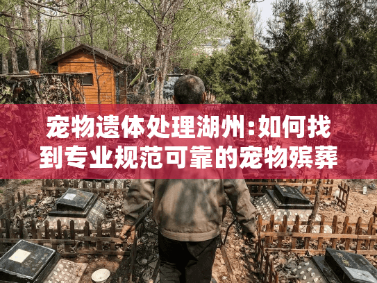 宠物遗体处理湖州:如何找到专业规范可靠的宠物殡葬机构?