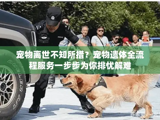 宠物离世不知所措?宠物遗体全流程服务一步步为你排忧解难 宠物离世不知所措?宠物遗体全流程服务一步步为你排忧解难