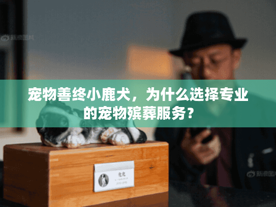 宠物善终小鹿犬，为什么选择专业的宠物殡葬服务？