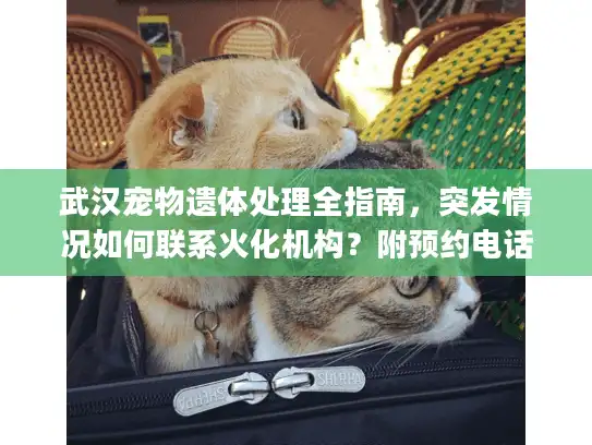 武汉宠物遗体处理全指南，突发情况如何联系火化机构？附预约电话)
