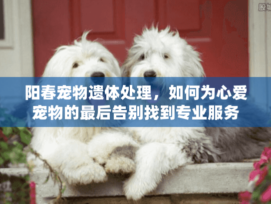 阳春宠物遗体处理，如何为心爱宠物的最后告别找到专业服务