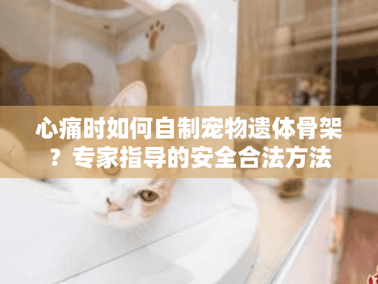 心痛时如何自制宠物遗体骨架？专家指导的安全合法方法