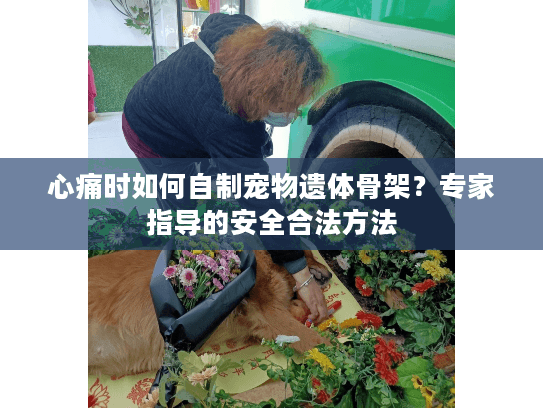 心痛时如何自制宠物遗体骨架？专家指导的安全合法方法