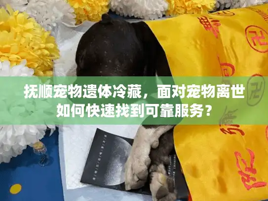 抚顺宠物遗体冷藏，面对宠物离世如何快速找到可靠服务？