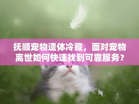 抚顺宠物遗体冷藏，面对宠物离世如何快速找到可靠服务？