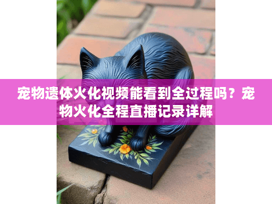 宠物遗体火化视频能看到全过程吗？宠物火化全程直播记录详解